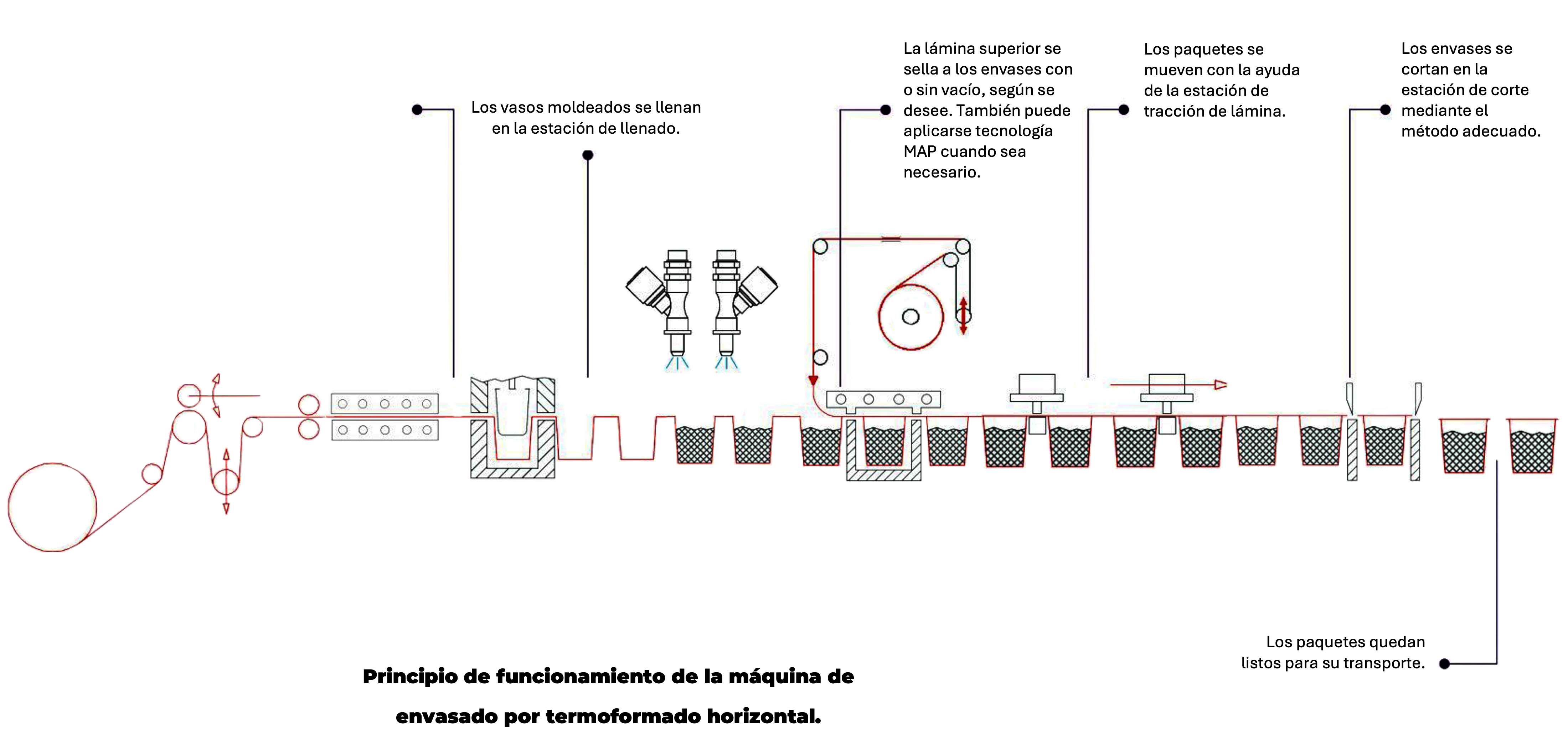 Horizontal thermoforming process diagram — complete flow from reel to sealed container